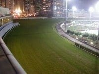 De Hongkong Jockey Club heeft maatregelen genomen om de olympische paarden fit te houden.