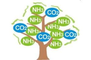 8e IIR-conferentie over CO₂ en ammoniak aangekondigd