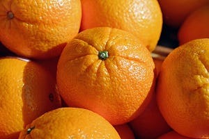 Nieuwe EU-regels koelopslag geïmporteerde citrusvruchten moeten fruitmot weren
